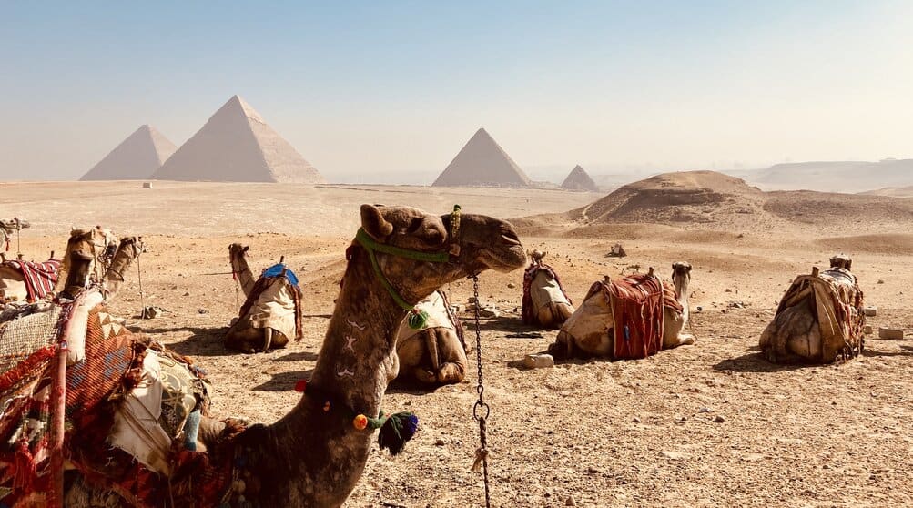 Giza