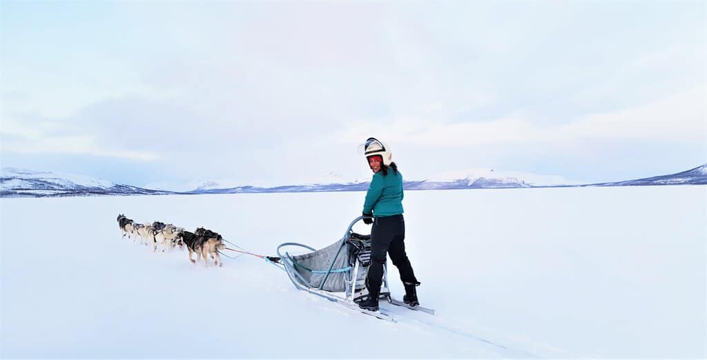 Dog sledding Finland