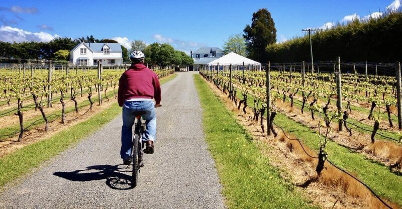Chris Heckmann biking through vineyards in Martinborough New Zealand