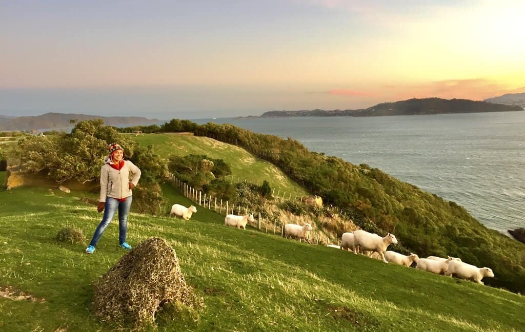 Sunset on Matiu-Somes Island - day trips from Wellington